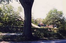 Hurricane Floyd damage, Greenville, N.C.